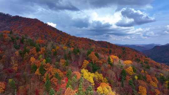 4K秋天色彩五花山光雾山秋景风光自然新疆