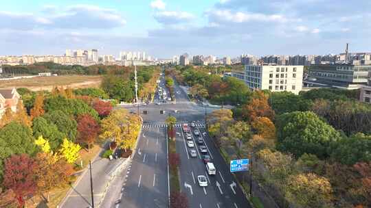 上海秋天 杨浦区殷行路淞沪路 金色秋景