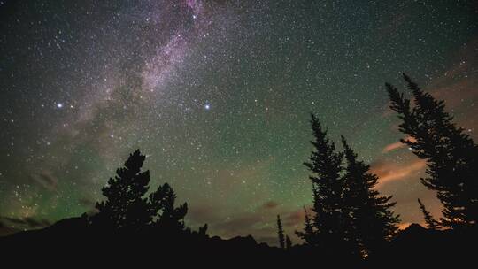 森林上方星空背景