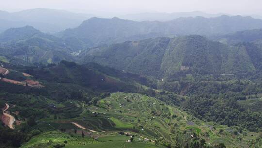 4k 航拍柳州三江布央仙人茶山茶山风景区