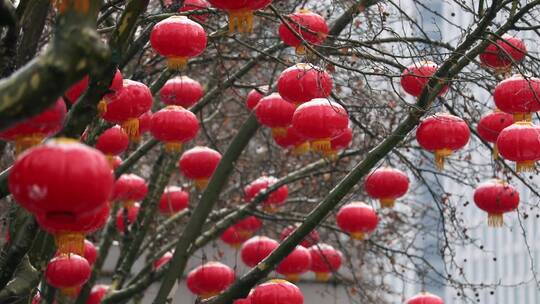 雪中的红灯笼视频素材春节年味瑞雪兆丰年