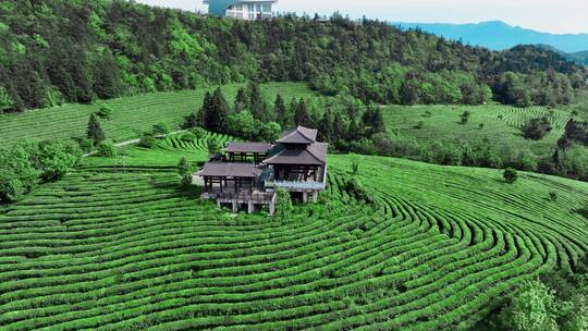 茶山茶海蓝天白云航拍