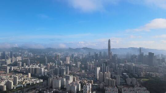 深圳 深圳城市 城市建筑群