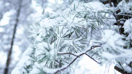 伏牛山冬季雪景雾凇