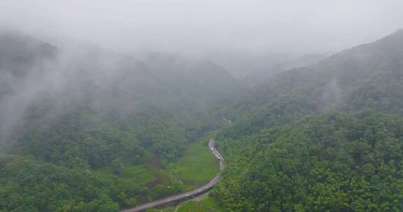 杭州西湖龙井茶园梅家坞云雾航拍茶山