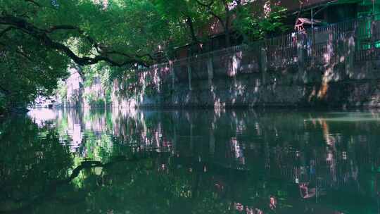 广州海珠区小洲村古村落河道林荫街道景观