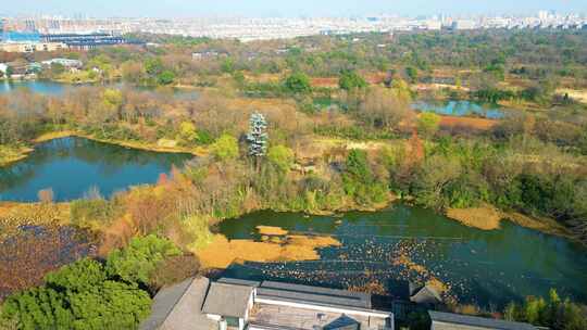 杭州西湖区西溪湿地自然风景视频素材