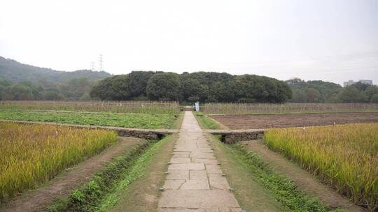 杭州玉皇山八卦田遗址公园