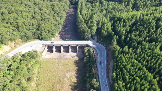 森林公路航拍树林道路汽车行驶航拍山区山路