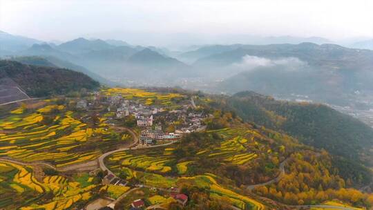 自然风景，用耳聆听、用心感悟，治愈系风景