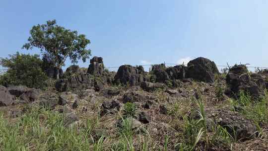 云南山区耕地农业种植