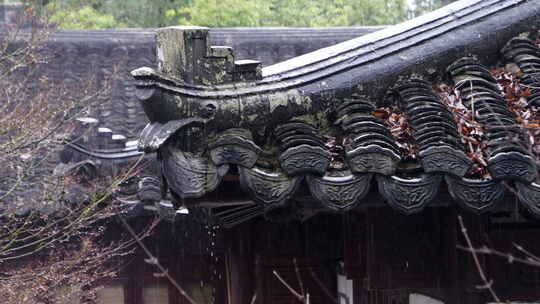 雨中古建筑的屋顶瓦片细节展示