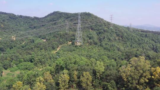 航拍深圳龙华区观澜园林绿化及居住区绿化