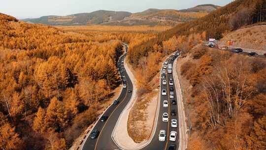 4K航拍河北承德塞罕坝机械林场公路风光视频素材模板下载