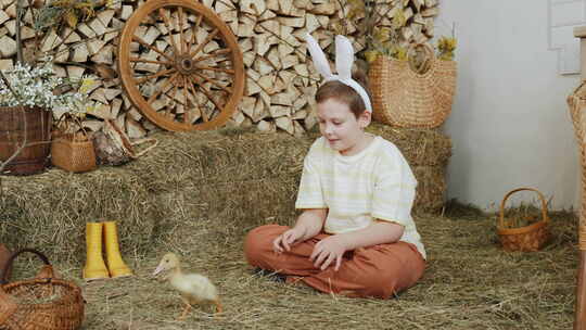 兔子耳朵里的快乐男孩小心翼翼地抱着小鸭，
