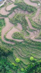 航拍大山梯田风光