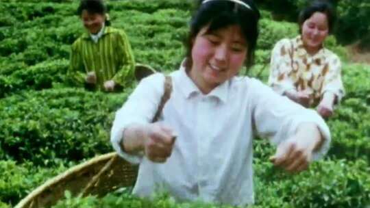 改革开放早期 工农业生产