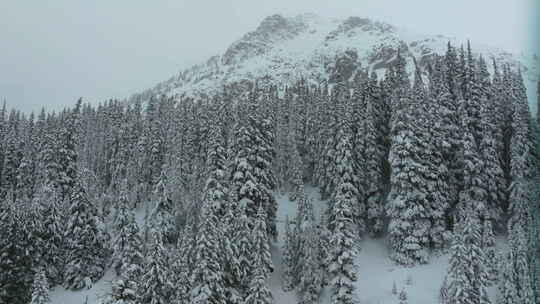 科罗拉多州电影空中深粉雪洛弗兰德滑雪度假