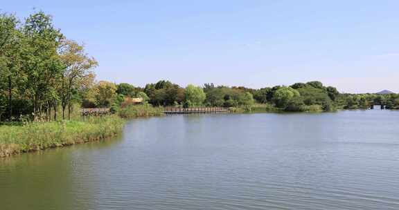 苏州太湖湿地公园美丽湖水绿植生态景观