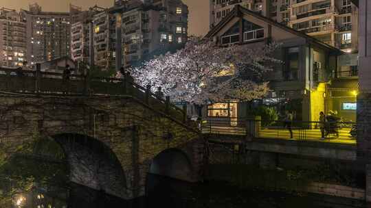 杭州 信义坊 樱花女王 夜景 延时