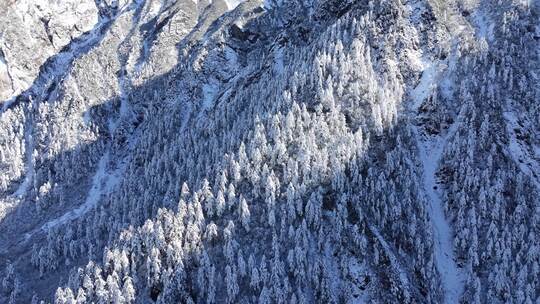 四川西部甘孜海螺沟雪后的高山森林航拍