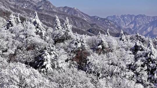 秦岭山脉冬季雪景