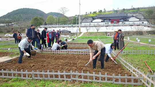 劳动空镜刨土锄地农场工人耕作劳作翻土