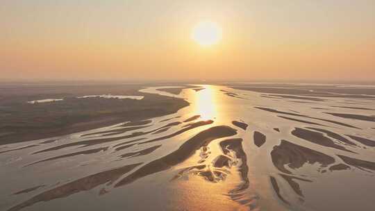 江西鄱阳湖生命之树景观空中俯瞰