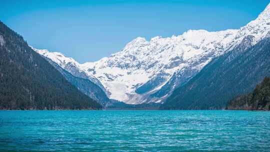 4K延时 西藏巴松措湖泊森林雪山高原