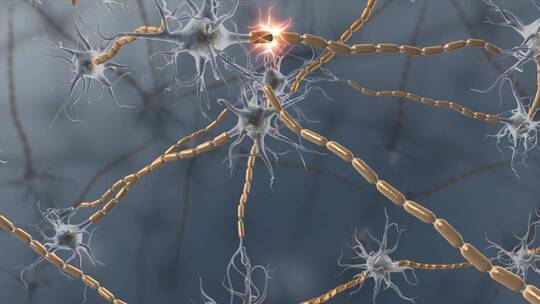 生物细胞神经元细胞动画