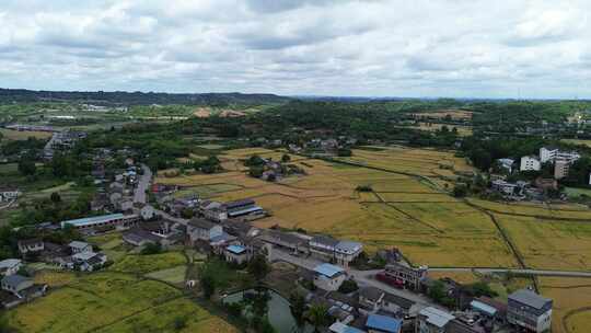 四川德阳罗江金山沃野千里