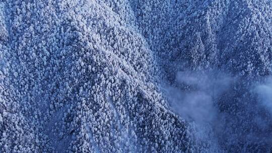 武夷山山脉雪景