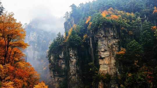 秋天山谷风景