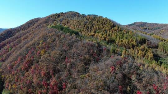 航拍东北秋天山区风景视频素材模板下载