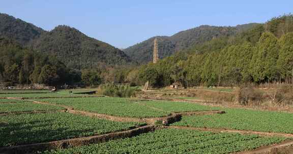 浙江天台国清寺典雅隋塔美丽风光