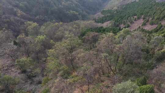 章丘二郎山秋色