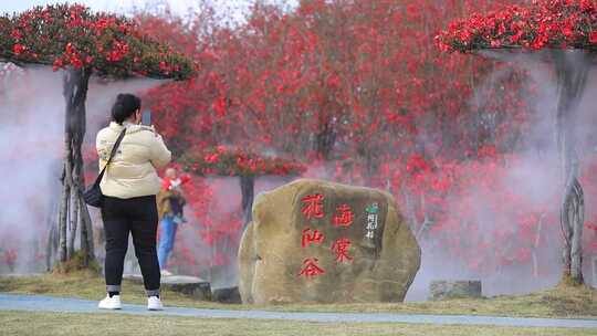 红花盛开的浪漫春日