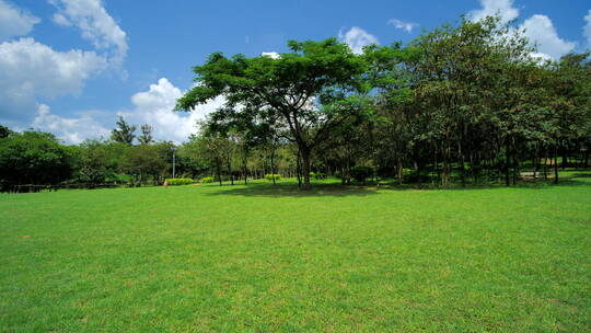 蓝天阳光草坪公园草地绿地