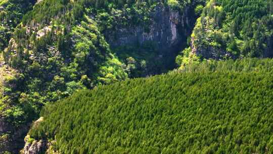 泰安泰山航拍