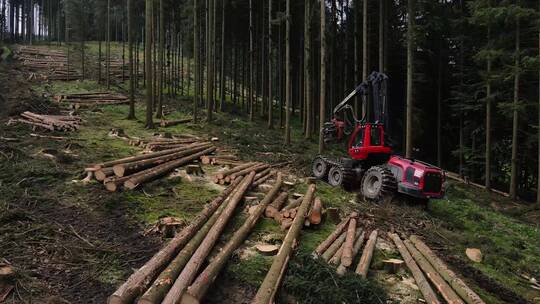 伐木机在树林里砍树
