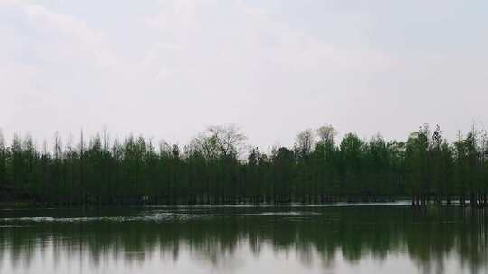 湖边天空树林倒影