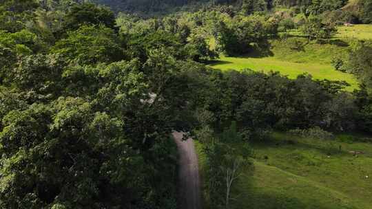 无人机在中美洲丛林的树顶上空飞行。运输的偏远砾石路