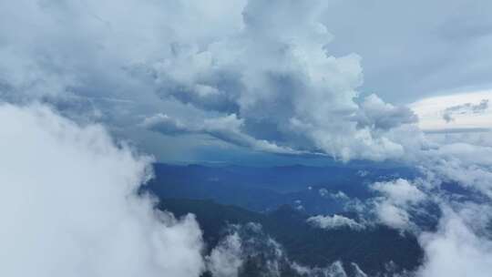 海南乐东县尖峰岭国家森林公园热带雨林