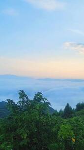 风景这边独好，一起享受大自然的美风景治愈