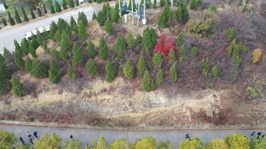 聋哑学校团建郊游济源黄河三峡游船小学生