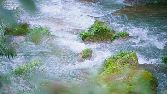 大自然河水奔腾流淌视频素材模板下载