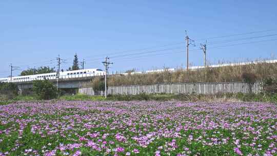 高铁动车列车高铁经过春天春暖花开田野乡村