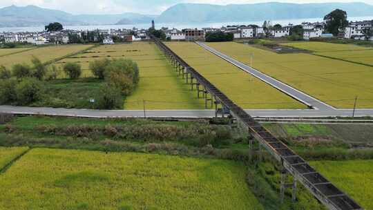 大理稻田航拍风光