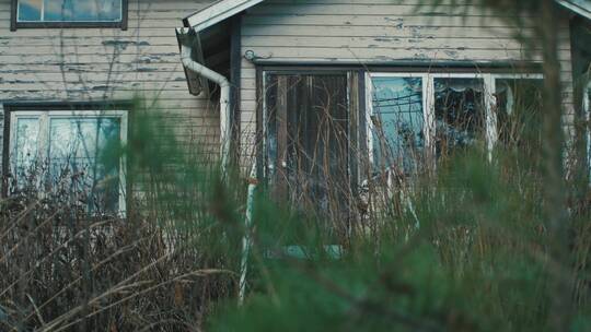 废弃的老房子旁边野草丛生视频素材模板下载