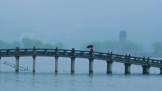 杭州萧山湘湖景区春天春雨